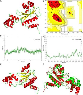 Anti-quorum sensing potential of selenium nanoparticles against LasI/R, RhlI/R, and PQS/MvfR in Pseudomonas aeruginosa: a molecular docking approach